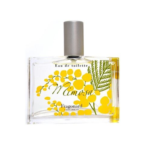 Mimosa