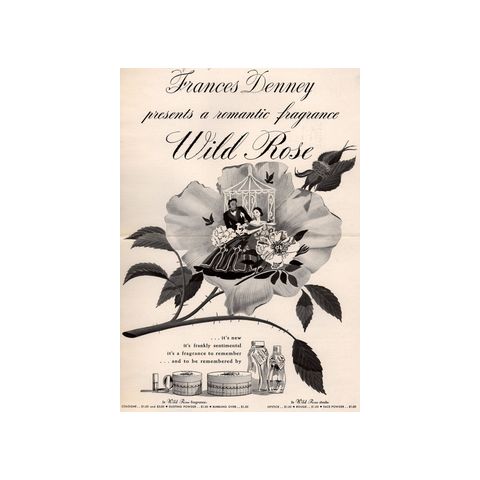Wild Rose