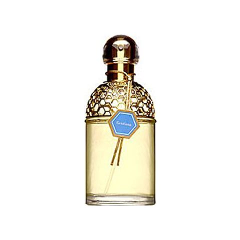 Aqua Allegoria Gentiana