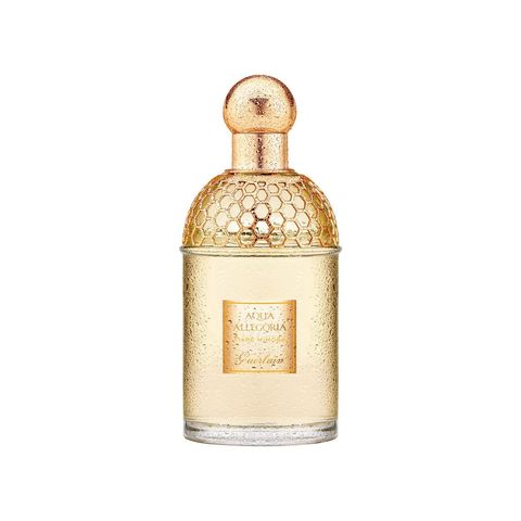 Aqua Allegoria Tiare Mimosa