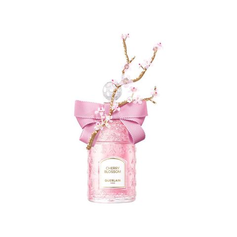 Cherry Blossom 2023 Millésime