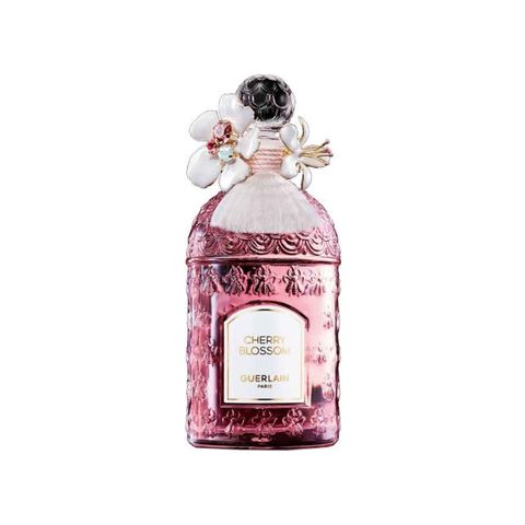 Cherry Blossom Millésime 2024