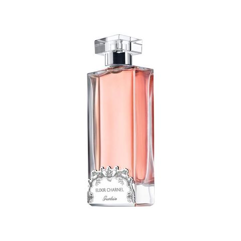 Elixir Charnel Gourmand Coquin