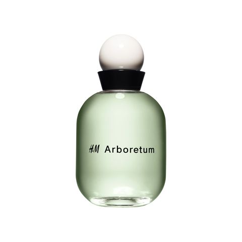 H&M Arboretum