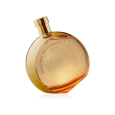 L'Ambre des Merveilles Limited Edition Collector