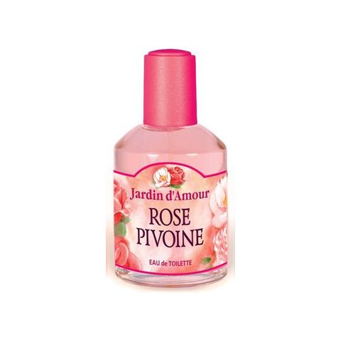 Rose Pivoine