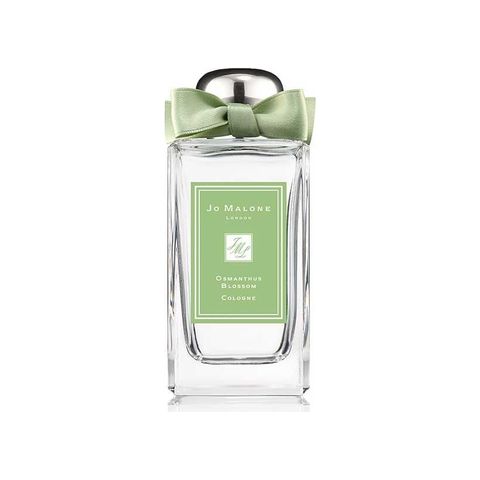 Osmanthus Blossom (2017)