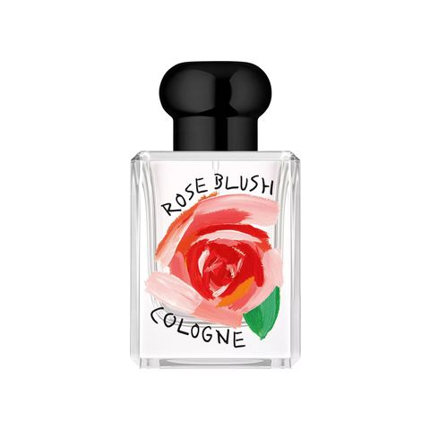 Rose Blush Cologne 2024