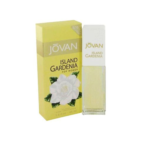 Island Gardenia