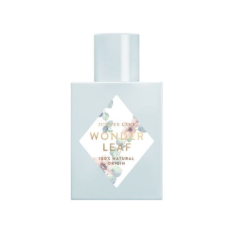 Wonder Leaf