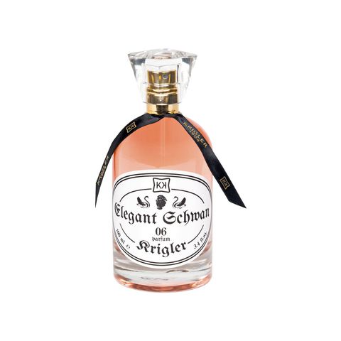 Elegant Schwan 06