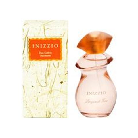 Inizzio