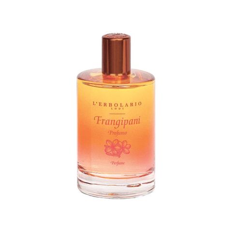 Frangipani