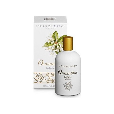 Osmanthus