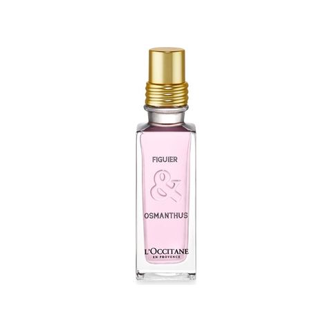 Figuier & Osmanthus
