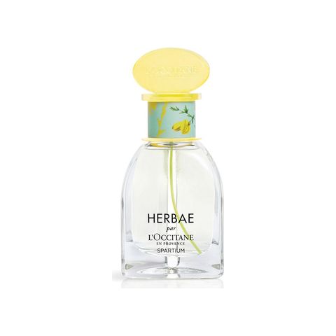 Herbae Spartium