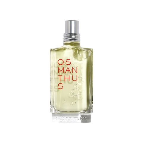 Osmanthus