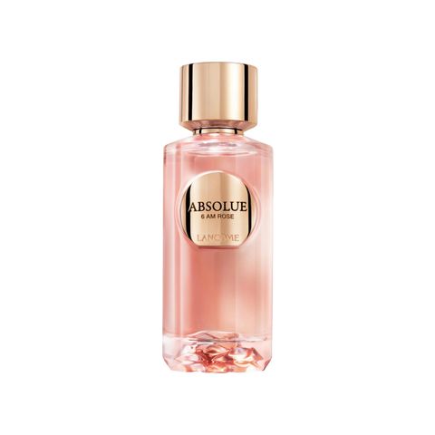 Absolue 6AM Rose