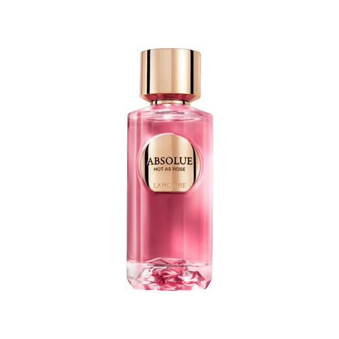 Absolue Hot As Rose