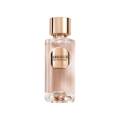 Absolue Not Your Rose