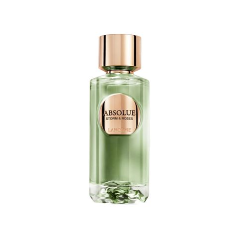 Absolue Storm & Roses