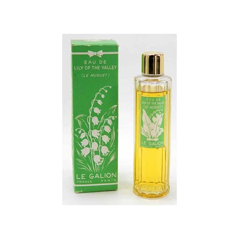 Lily of the Valley