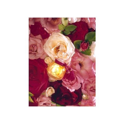La Rose Legere