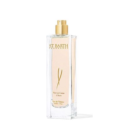 Fleur de Canne a Sucre