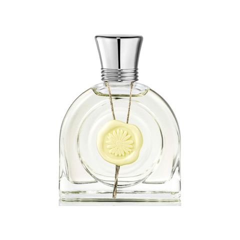 Fleur Lumière