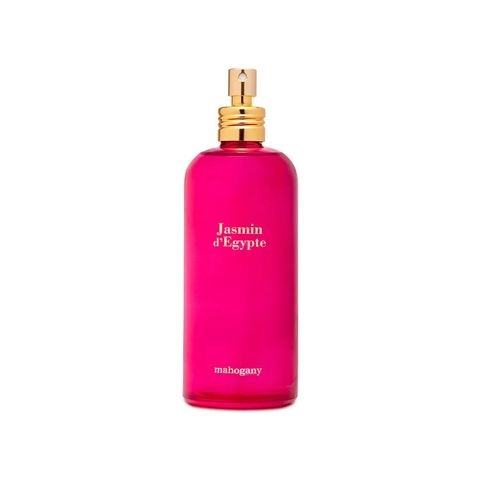 Jasmin D'Egypte