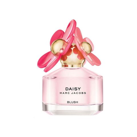 Daisy Blush