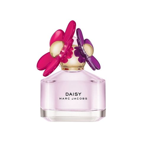 Daisy Sorbet