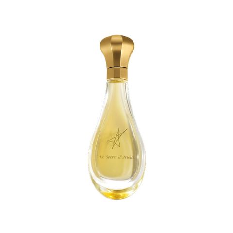 Le Secret d'Arielle Extrait