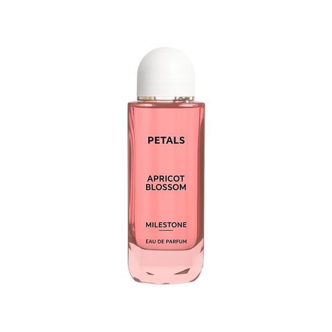 Petals Apricot Blossom