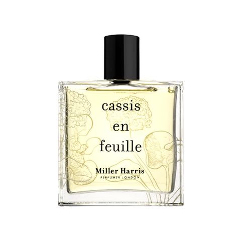 Cassis en Feuille