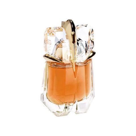 The Taste of Fragrance Alien