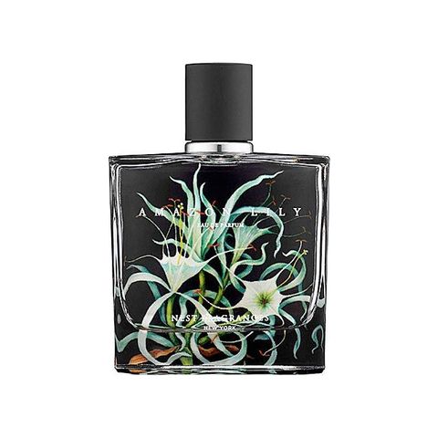 Amazon Lily