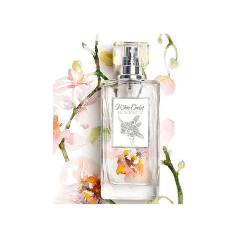 White Orchid
