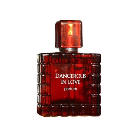 Dangerous in Love