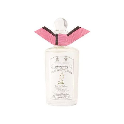Night Scented Stock