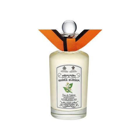 Orange Blossom