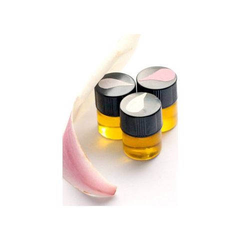 Magnolia Grove Perfume Trio