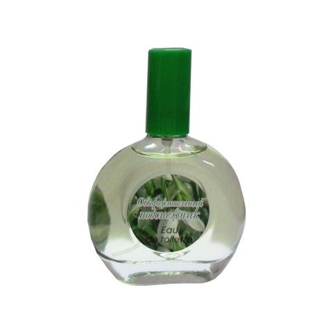 Charming Snowdrop