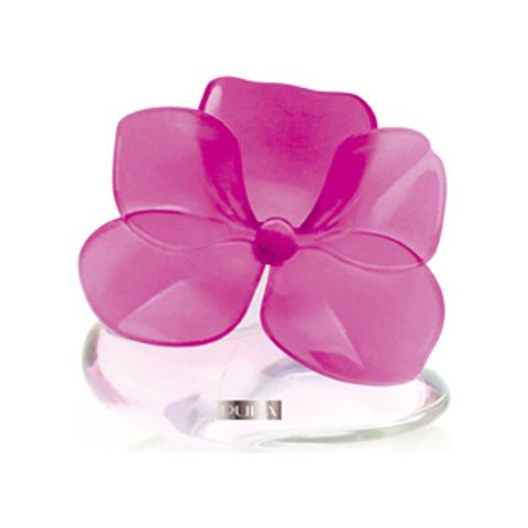 Very Flower Orchidea