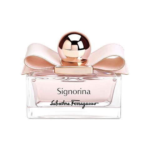Signorina Leather Edition
