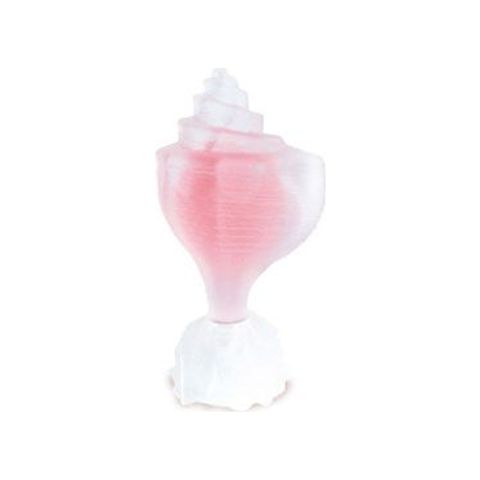 Pink Conch