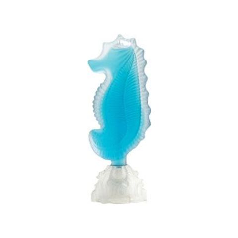 Seahorse