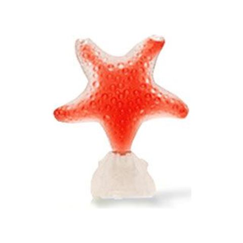 Star Red Pasion
