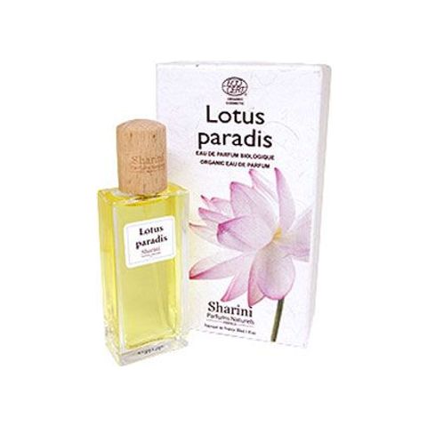 Lotus Paradis