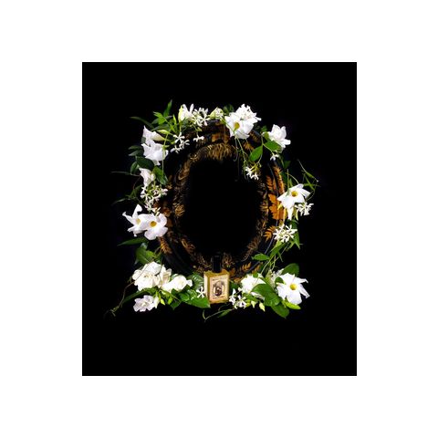 Flowers Nocturnal